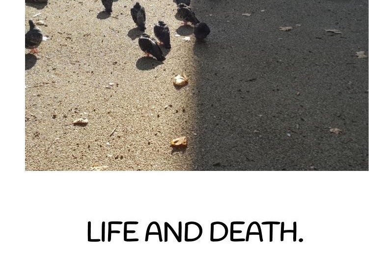 Life and death