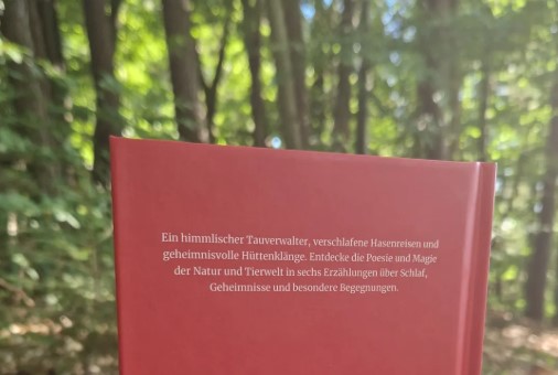 Der Hofengel Maisekopf und andere Geschichten