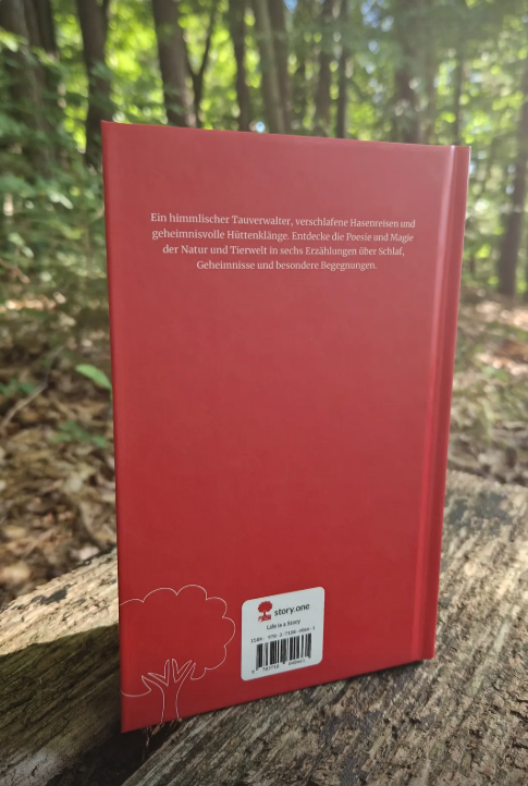 Der Hofengel Maisekopf und andere Geschichten